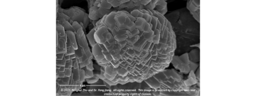 Scanning electron microscopy image of 3D printed cellulose scaffold loaded with salt particles